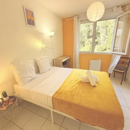Appartement Soleil De Montpellier, Clim, Piscine Et Pkg Privé Montpellier