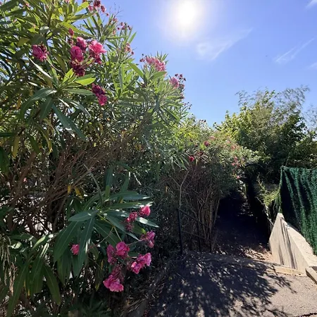 아파트 Soleil De Montpellier, Clim, Piscine Et Pkg Prive 몽펠리에