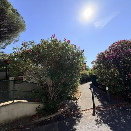 Soleil De Montpellier, Clim, Piscine Et Pkg Privé Appartement