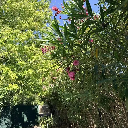 Soleil De Montpellier, Clim, Piscine Et Pkg Prive * 몽펠리에