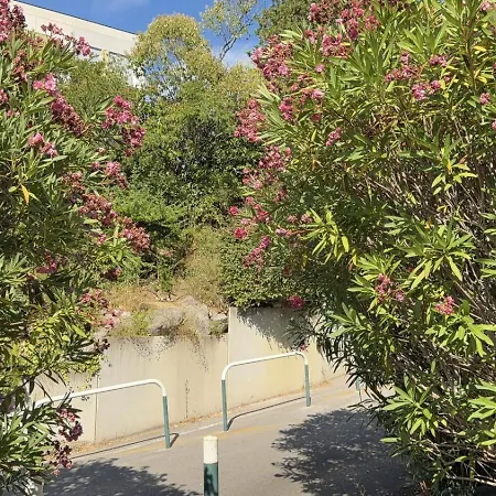 Soleil De Montpellier, Clim, Piscine Et Pkg Privé Appartement *